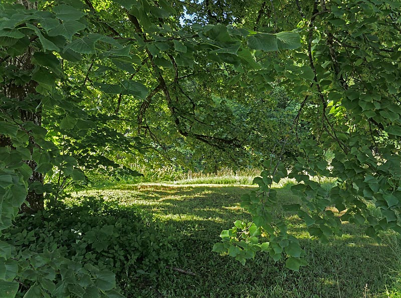 Die Bank am Bach der Kraftquelle Josefstal Die Bank am Bach der Kraftquelle Josefstal